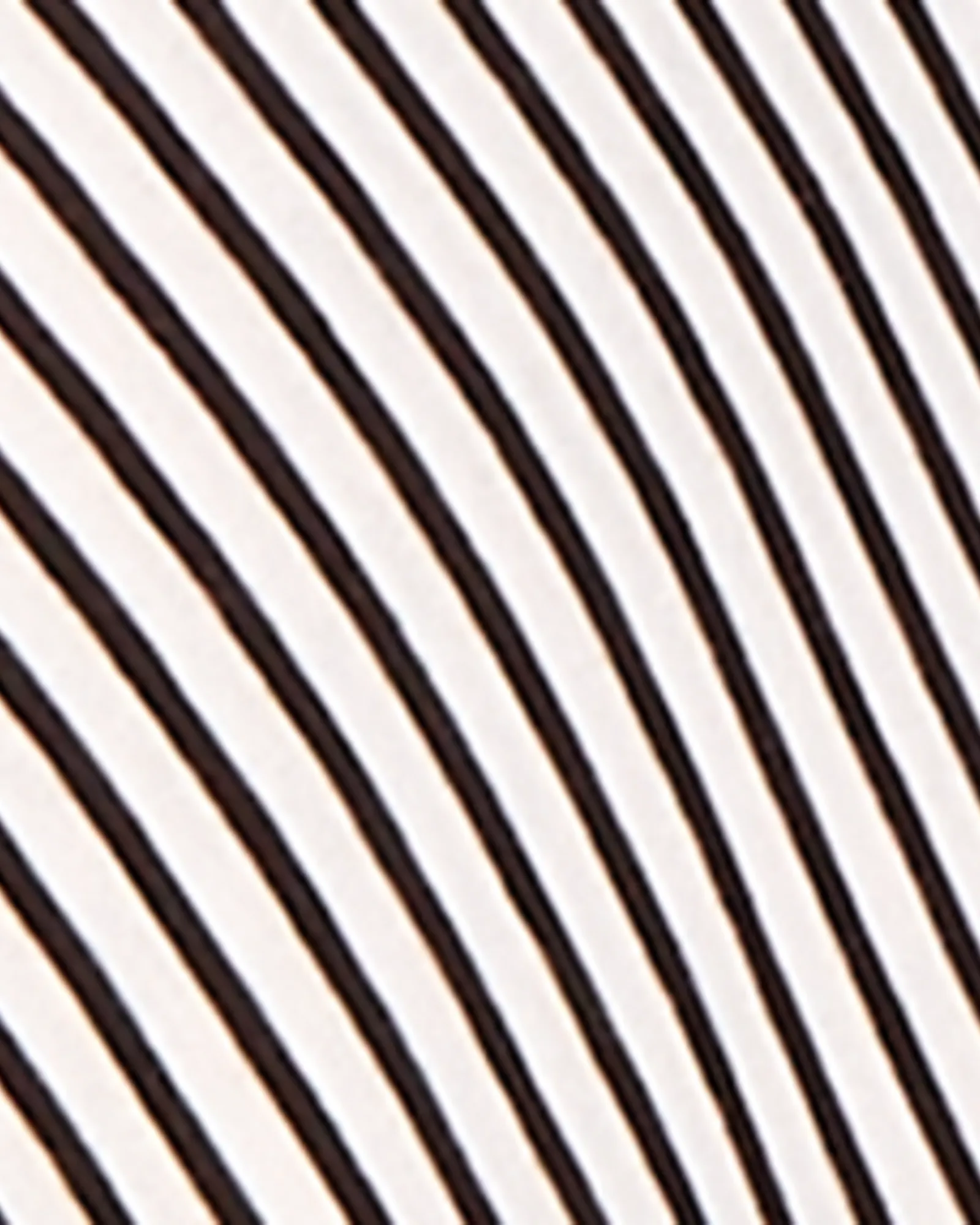 Posey Tee | White / Black